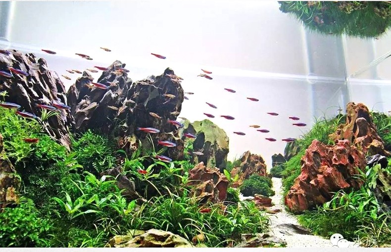 TB2BWXxEL9TBuNjy0FcXXbeiFXa_!!3498715891.jpg TB2BWXxEL9TBuNjy0FcXXbeiFXa_!!3498715891.jpg