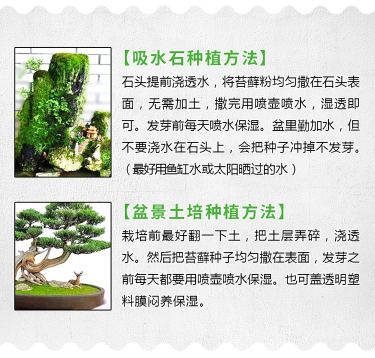 苔蘚孢子粉詳情750像素_03.jpg