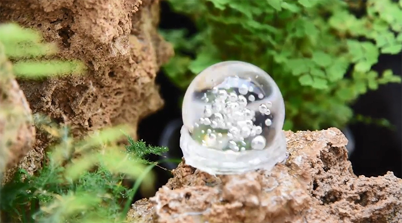 FDC2F443-2A52-48cd-A5C2-74E4ED0C6675.jpg FDC2F443-2A52-48cd-A5C2-74E4ED0C6675.jpg