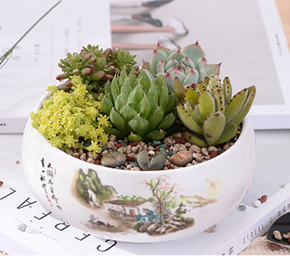 O1CN01RMFHob1QXAgEIrV9l_!!2465541985.jpg O1CN01RMFHob1QXAgEIrV9l_!!2465541985.jpg