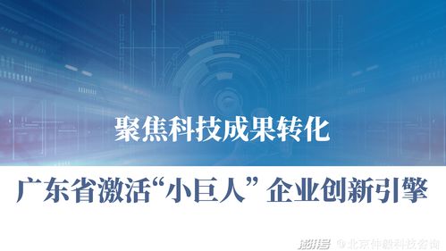 仲毅咨詢 聚焦科技成果轉(zhuǎn)化，激活廣東中小企業(yè)創(chuàng)新引擎