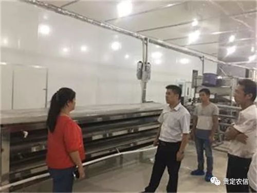 北京貴州米粉廠里的“金融夜?！?一碗粉背后的社會經濟咨詢服務
