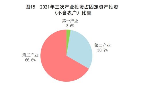 2021年中國社會經濟咨詢服務行業 賦能高質量發展的破局之年